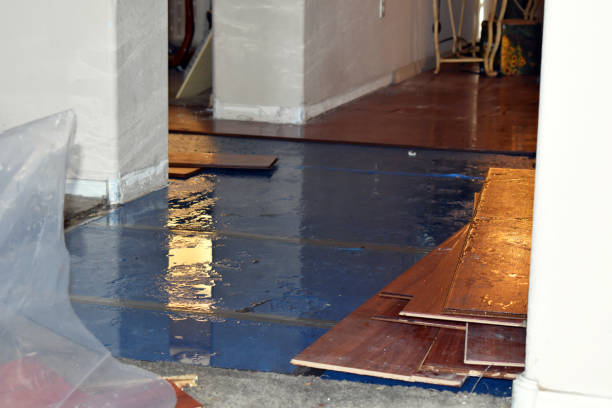 Professional Burst Pipe Water Damage technician working in Baltic, CT